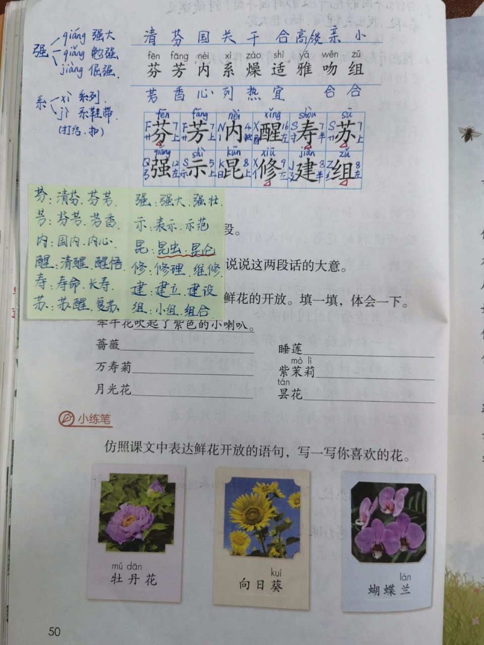 【备课笔记】三下语文《花钟》