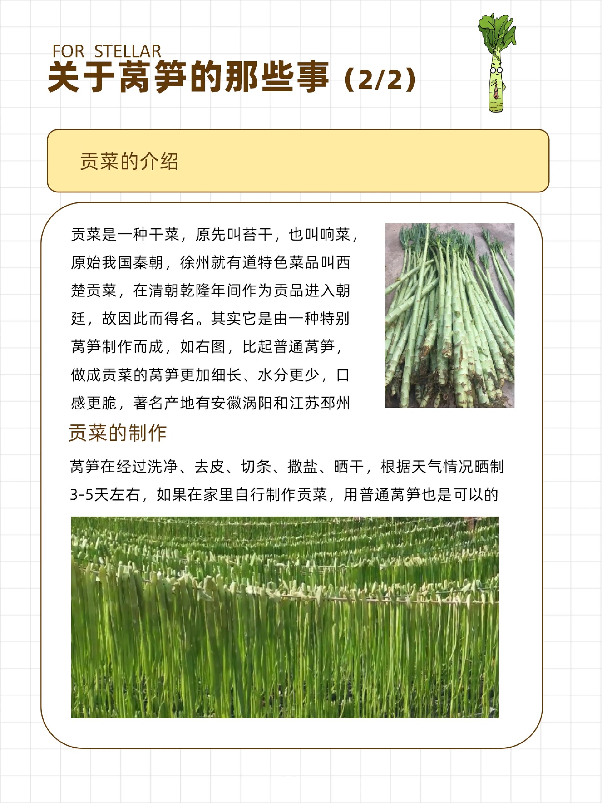 莴笋科普|营养价值&贡菜知识