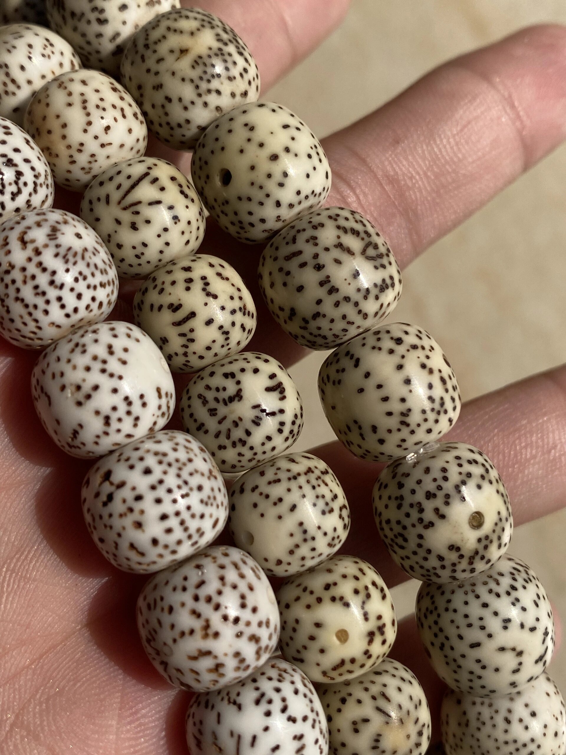 脱脂顺白与原生态顺白星月菩提的区别6015