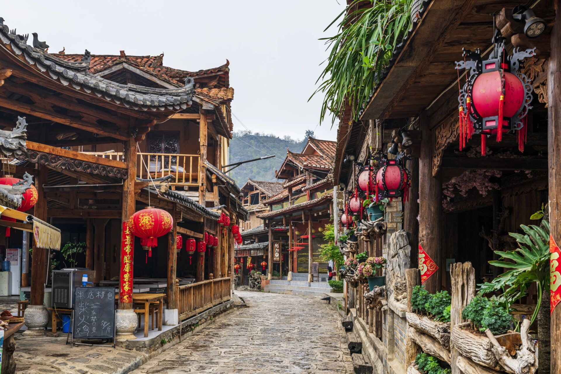 普者黑,仙人洞村 未得仙人指路,无奈走走看看,仙人湖上,荷花酣睡.