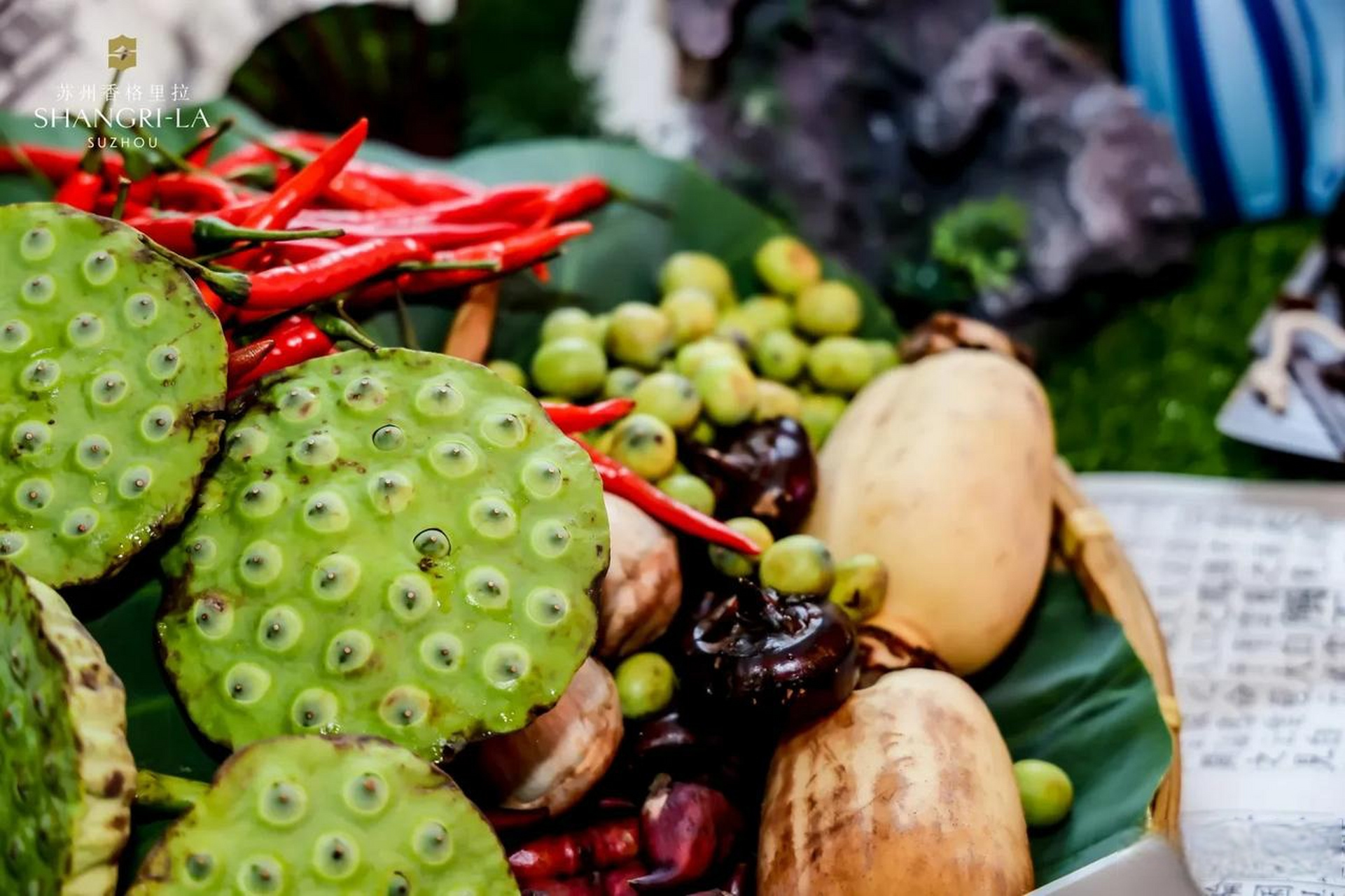 水八仙是苏州在地美食的一个代表,说的是8种夏季的水生季节性食材,哪