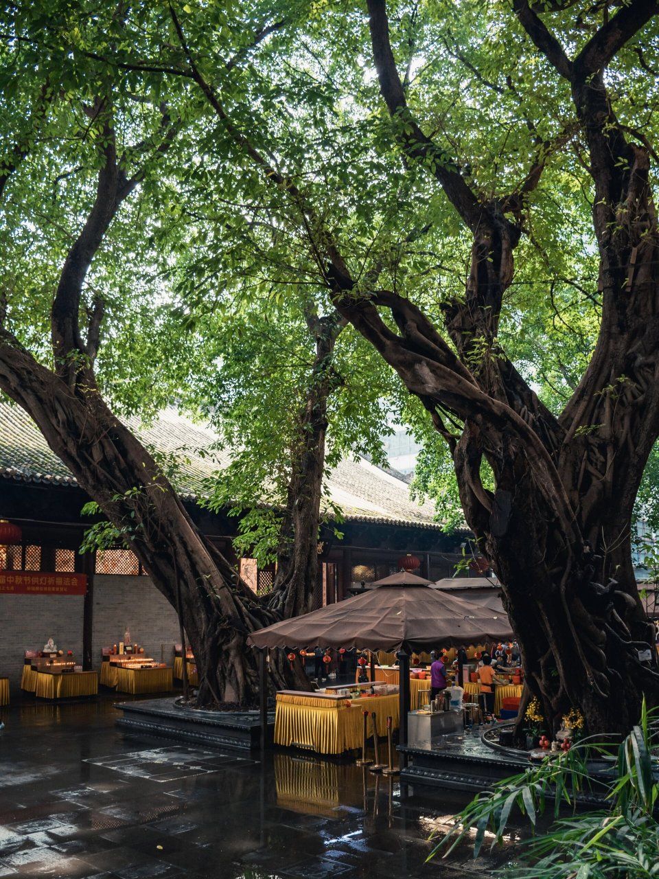 96历史: 大佛寺位于广州市北京路的