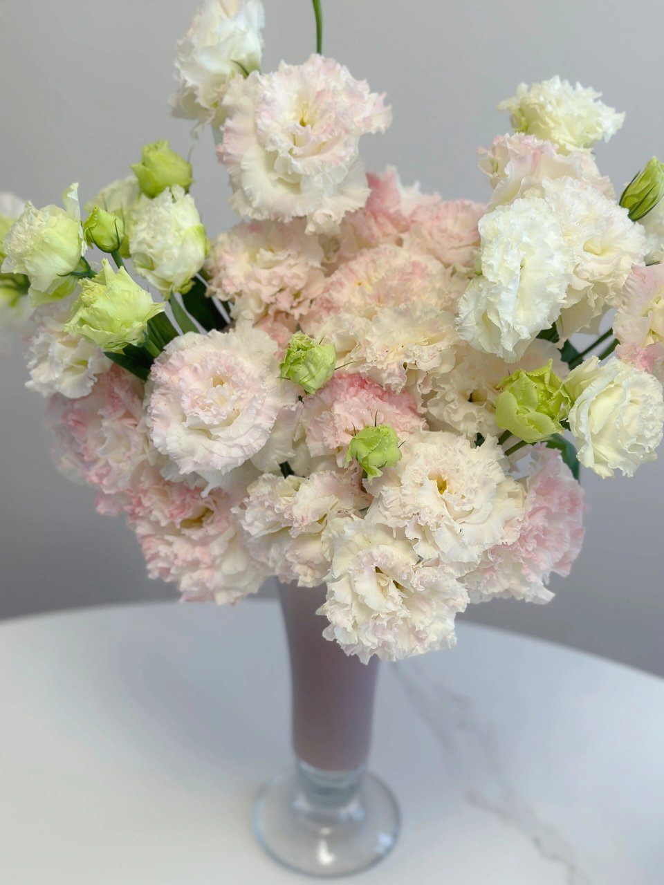 带你每天认识一种花材230/冰淇淋洋桔梗 波浪卷边 花头比普通洋桔梗大