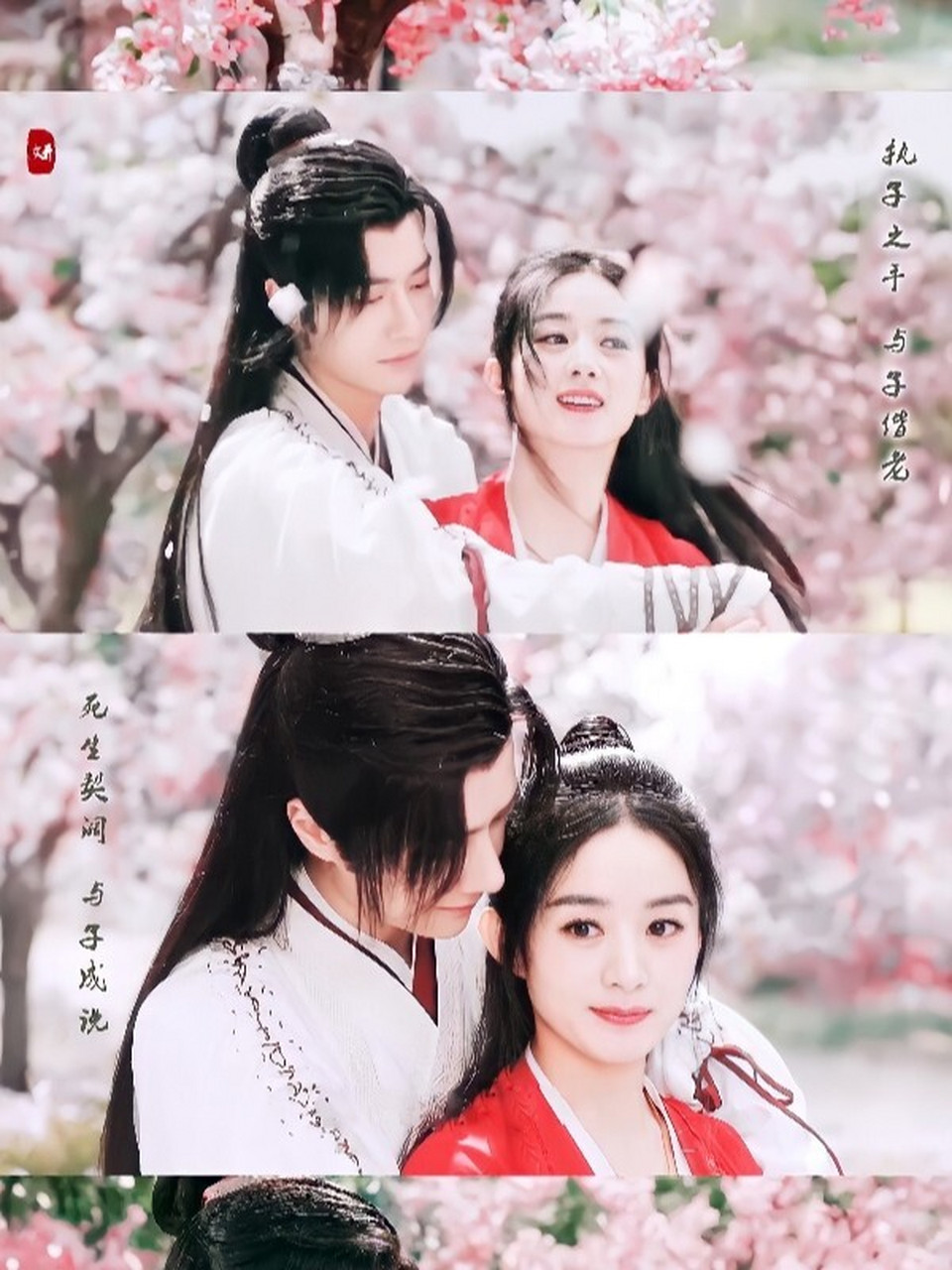 有翡花瓣吻唯美壁纸!