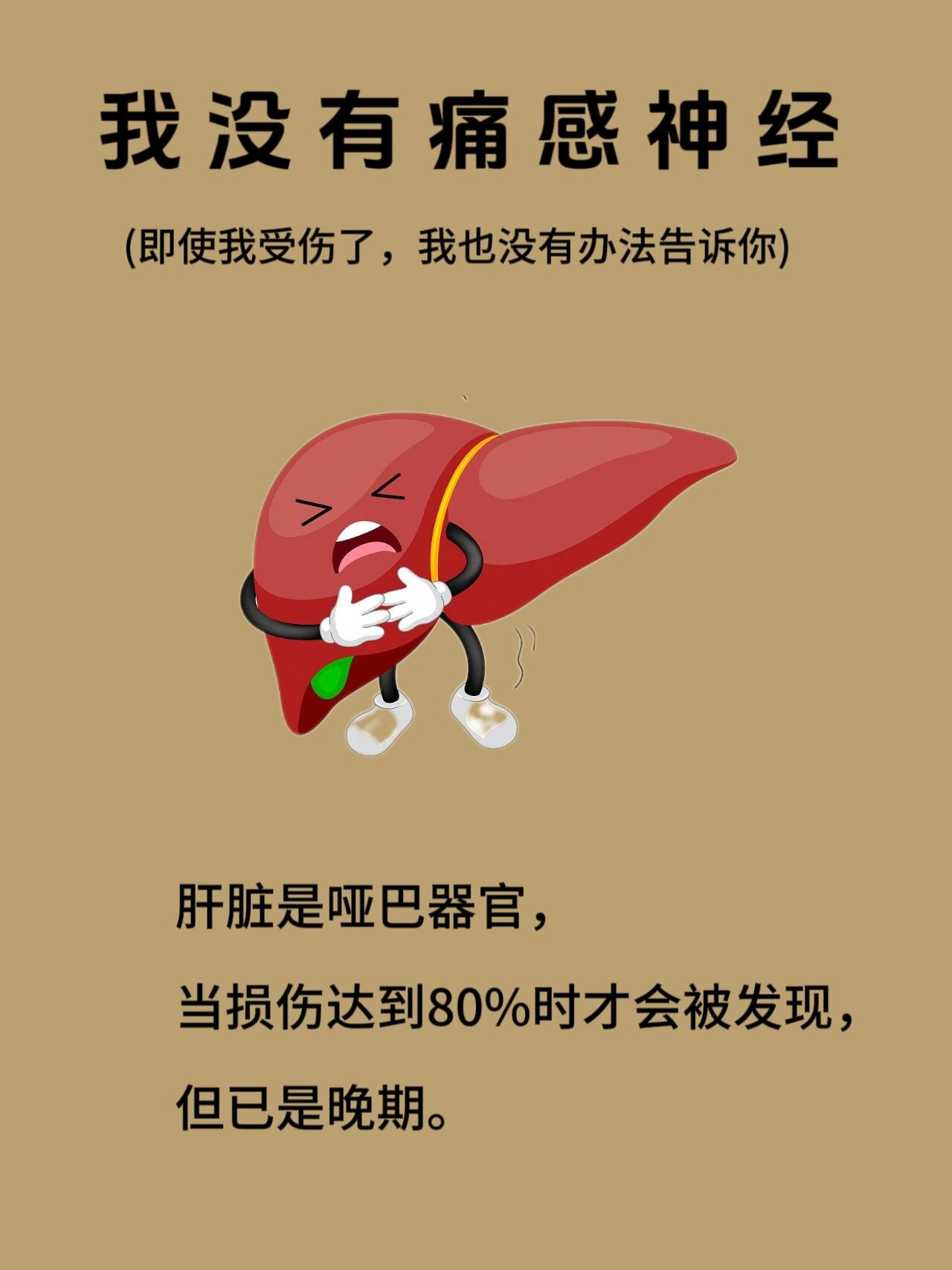 所以人们往往忽视了肝脏的重要性,认为没有感觉到疼痛,说明肝功能就是