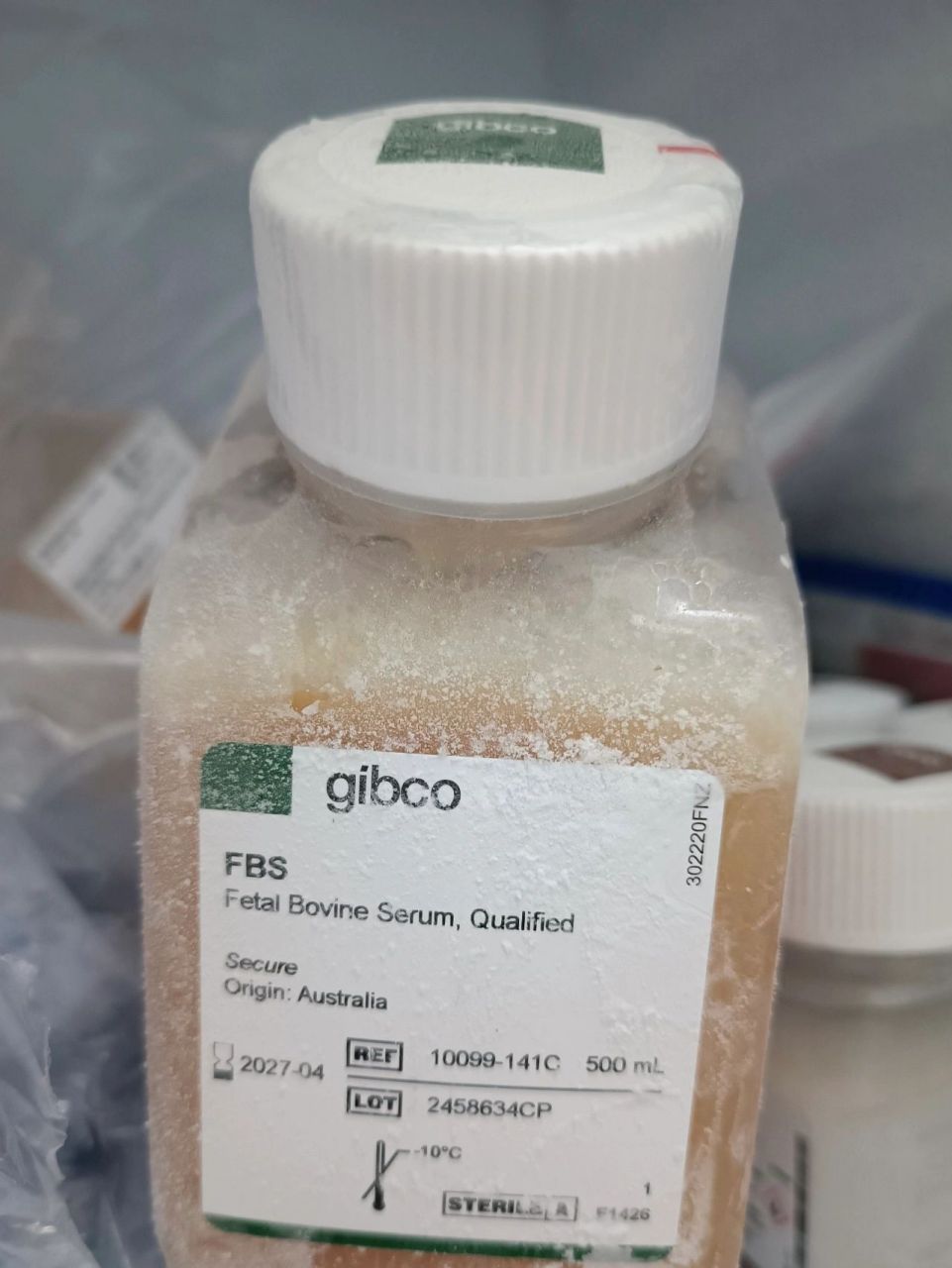 gibco特级澳洲胎牛血清 gibco 胎牛血清在基础细胞培养,专业研究和