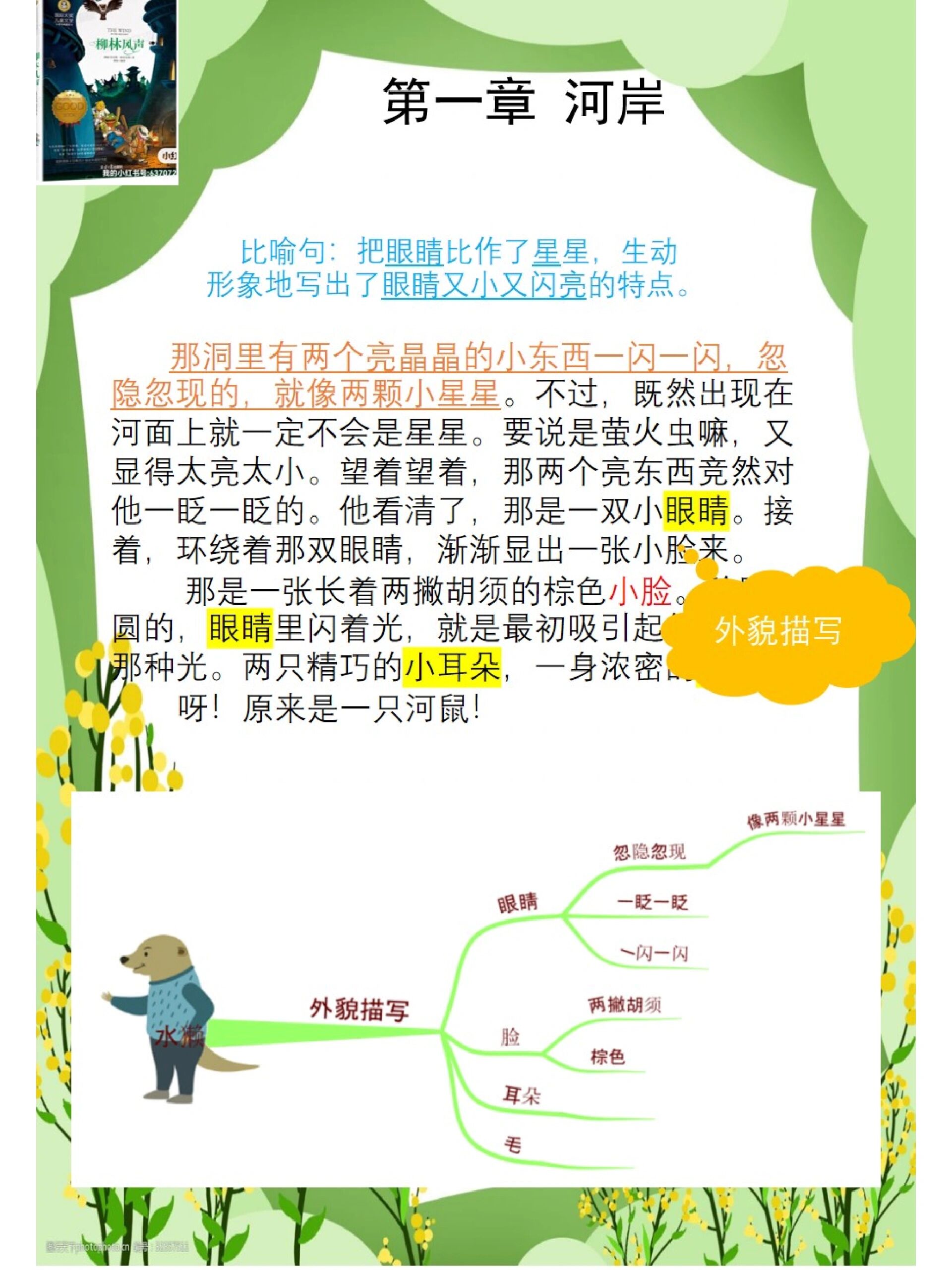 《柳林风声》暑假班精读课分析人物形象          【适合小学生的正确