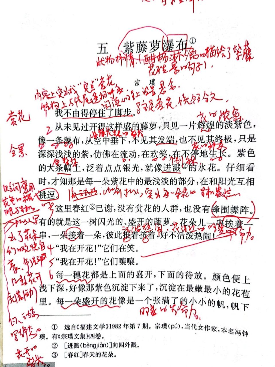 紫藤萝瀑布(宗璞)