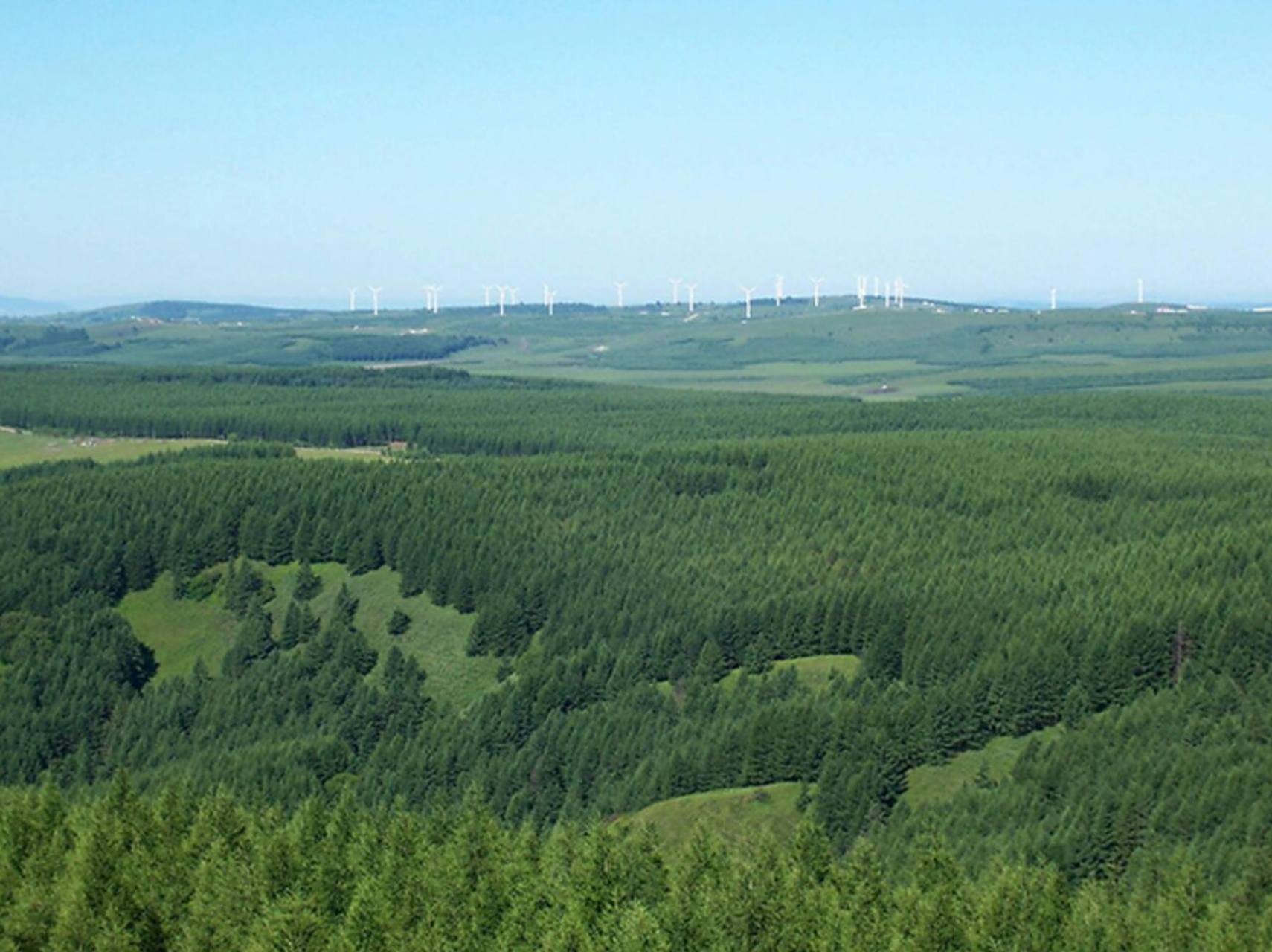 自驾解锁承德塞罕坝林场,感受草原上的风 塞罕坝机械林场是中国北方最