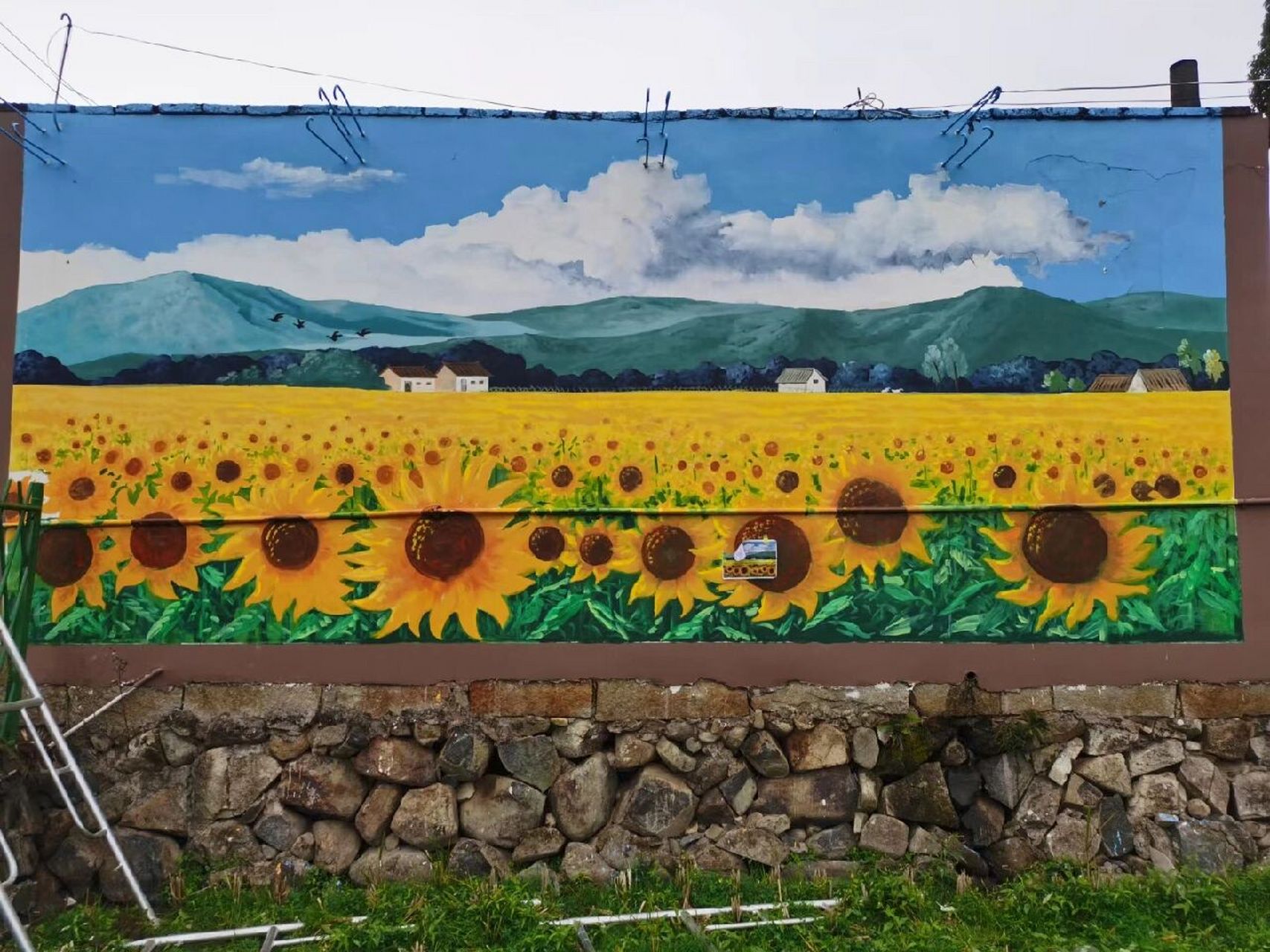 美丽乡村墙绘壁画 新农村改造墙绘 乡村振兴墙绘 手绘3d立体画墙绘