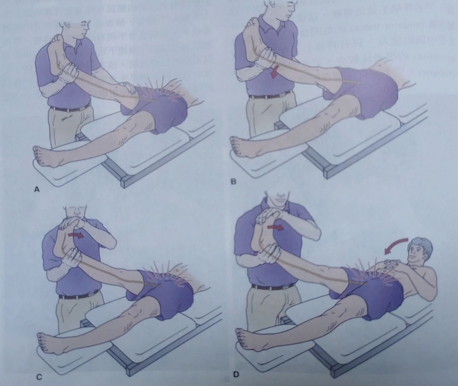 直腿抬高试验       这是分析腰疼最常见的测试之一,是分析下肢神经的