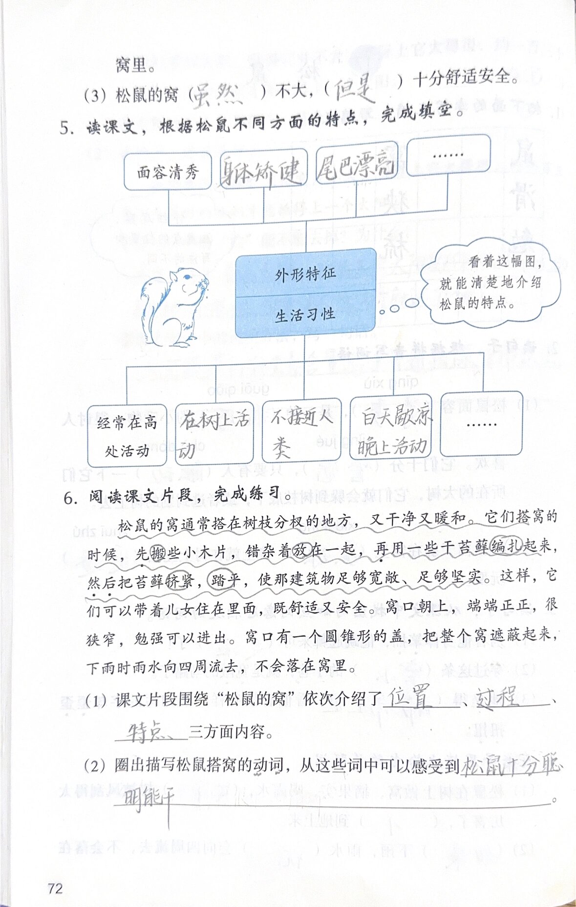五上17《松鼠》作业本答案(附教学设计)