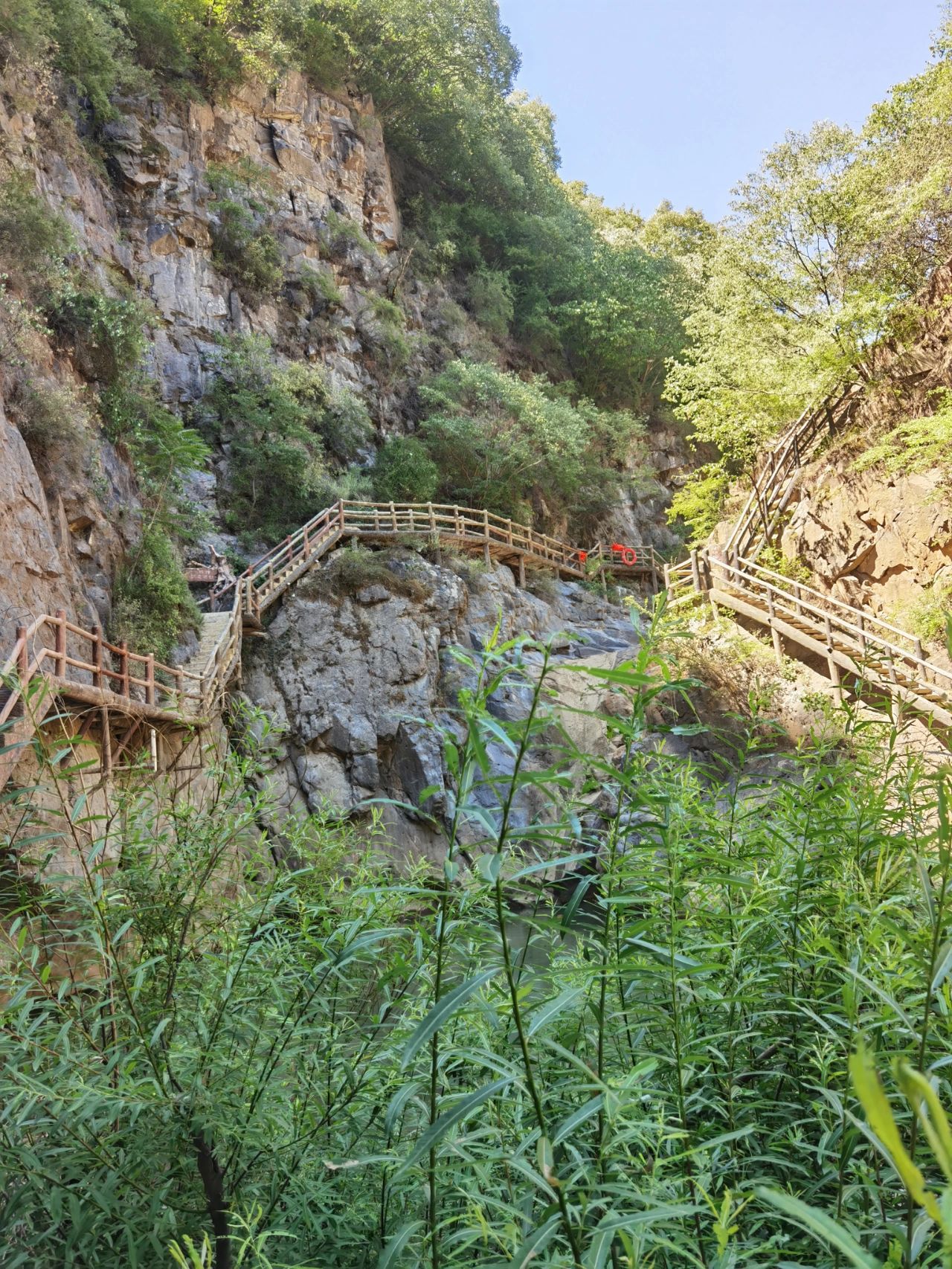 豫西大峡谷最近封没图片