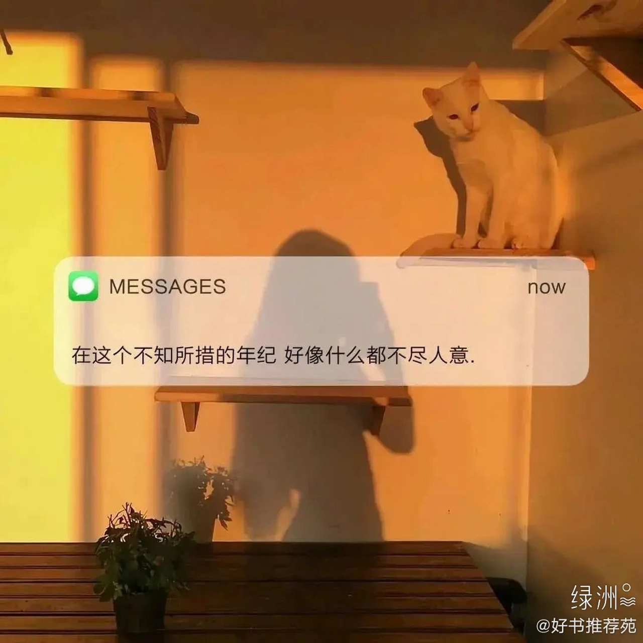 在这个不知所措的年纪,好像什么都不尽人意.