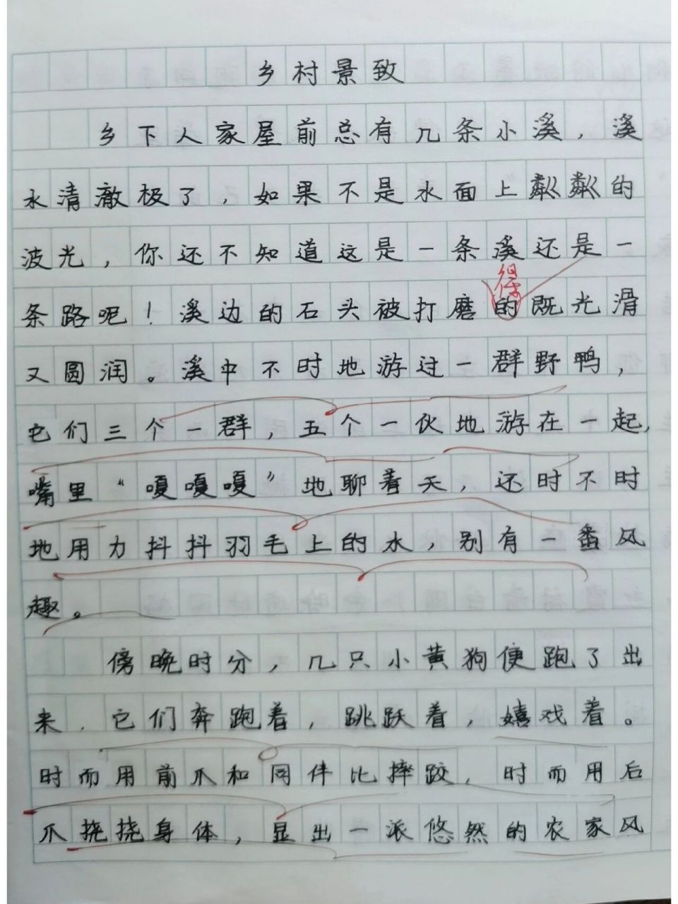 农村景象100字图片