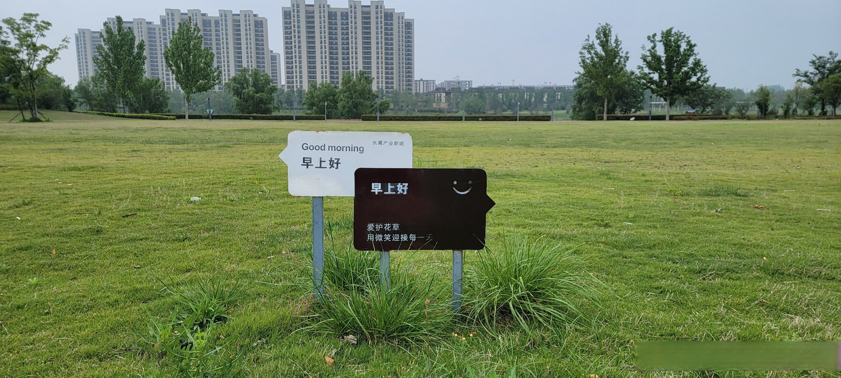 早 安,小 松 鼠  【新加坡】刘可式  早安,小松鼠  整个早晨  我一直