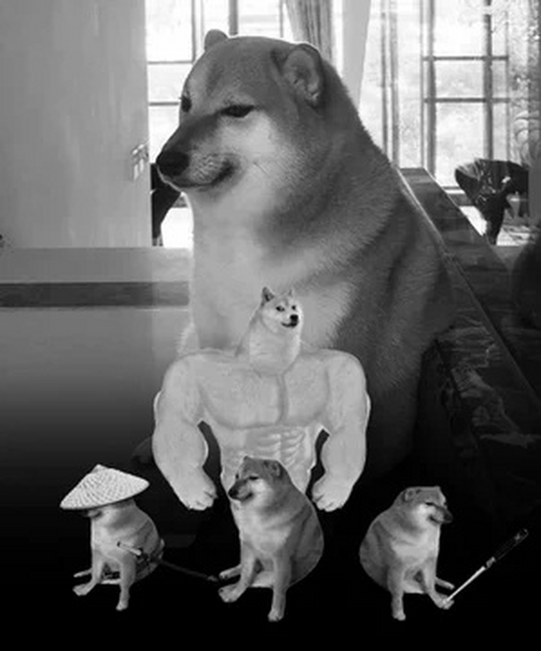 知名meme小狗cheems(本名:balltze)已于昨天(8月18日)在手术中去世了