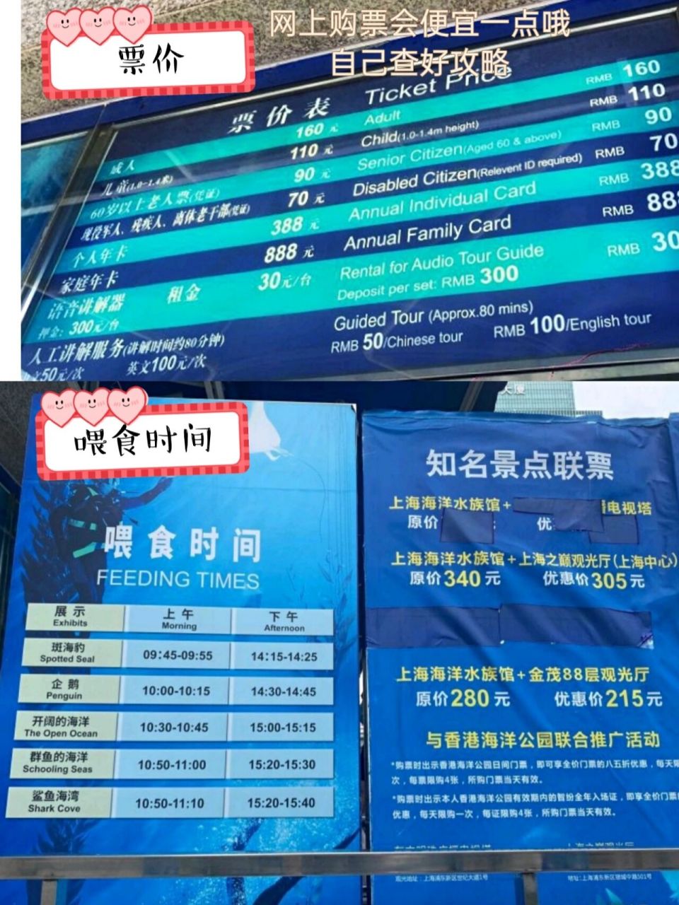 上海海洋水族馆值得去玩吗?