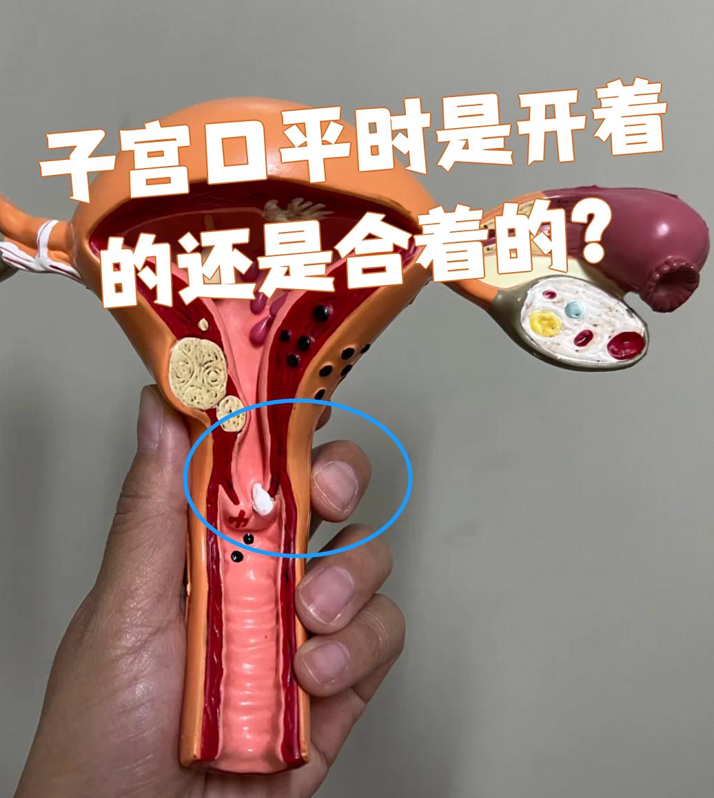 这是正常生理现象,不用太紧张