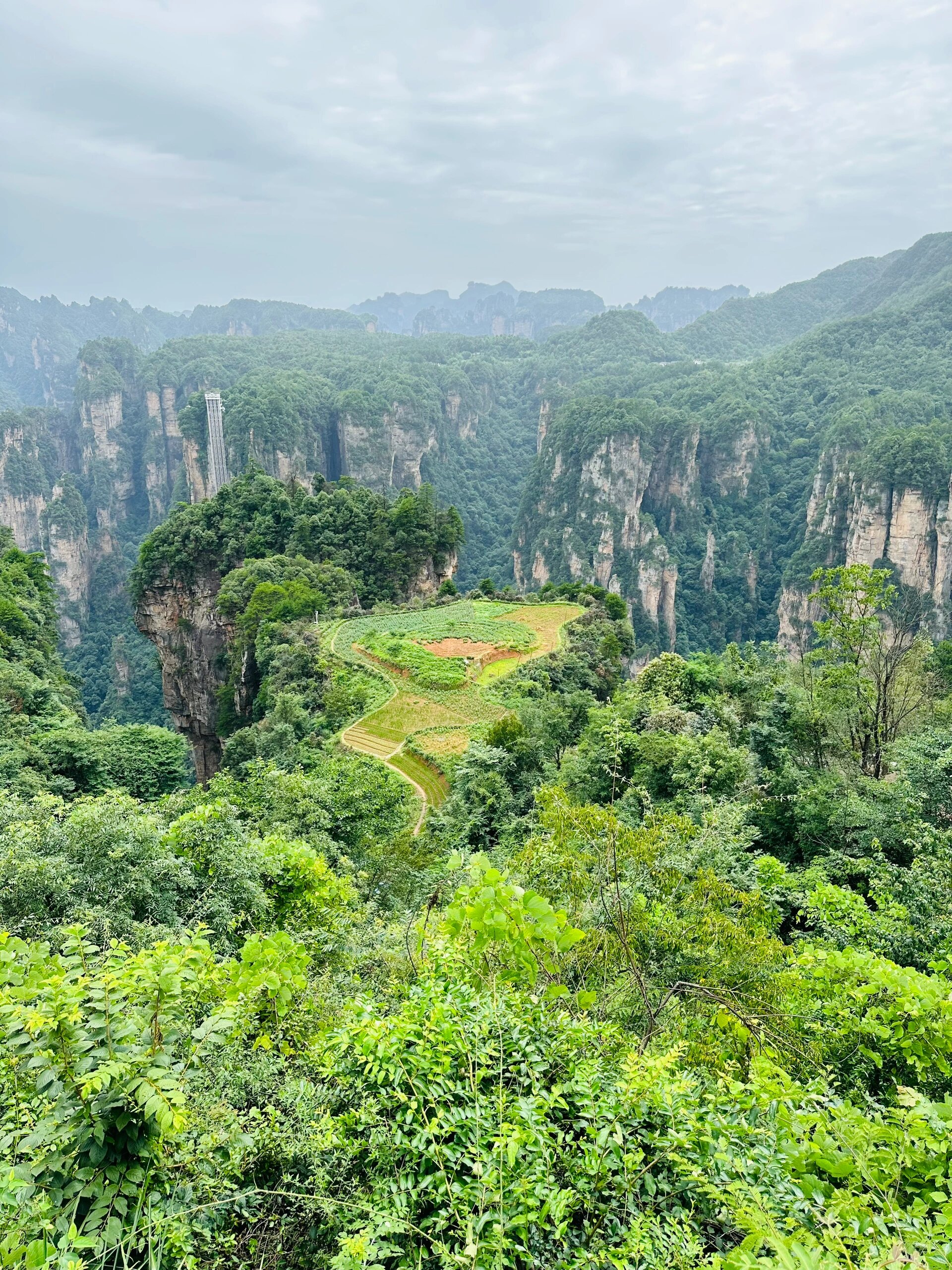 张家界空中田园图片图片