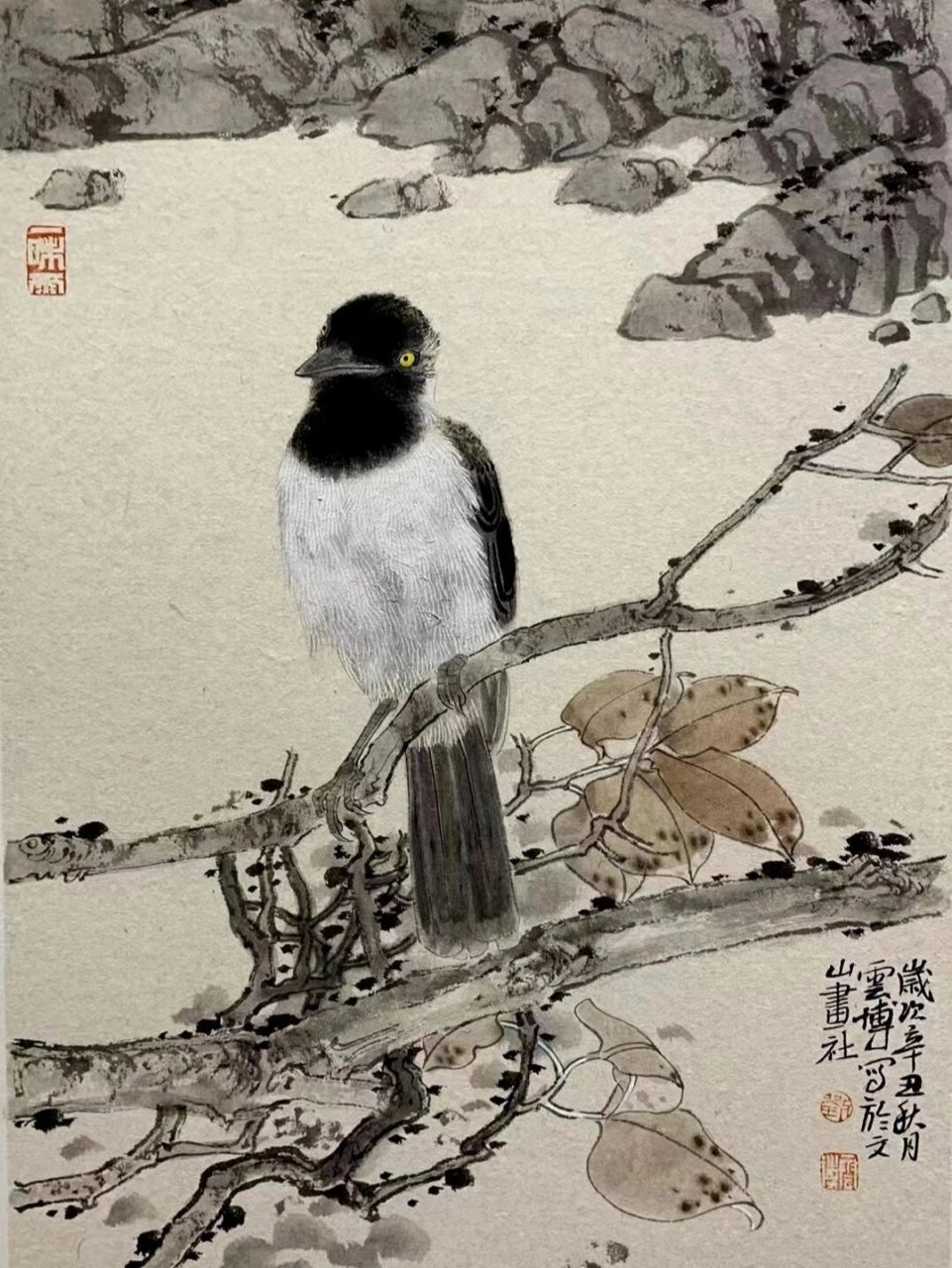 荣宝斋专职业画家刘云博老师小精品 刘云博的花鸟画用水墨写清新,以