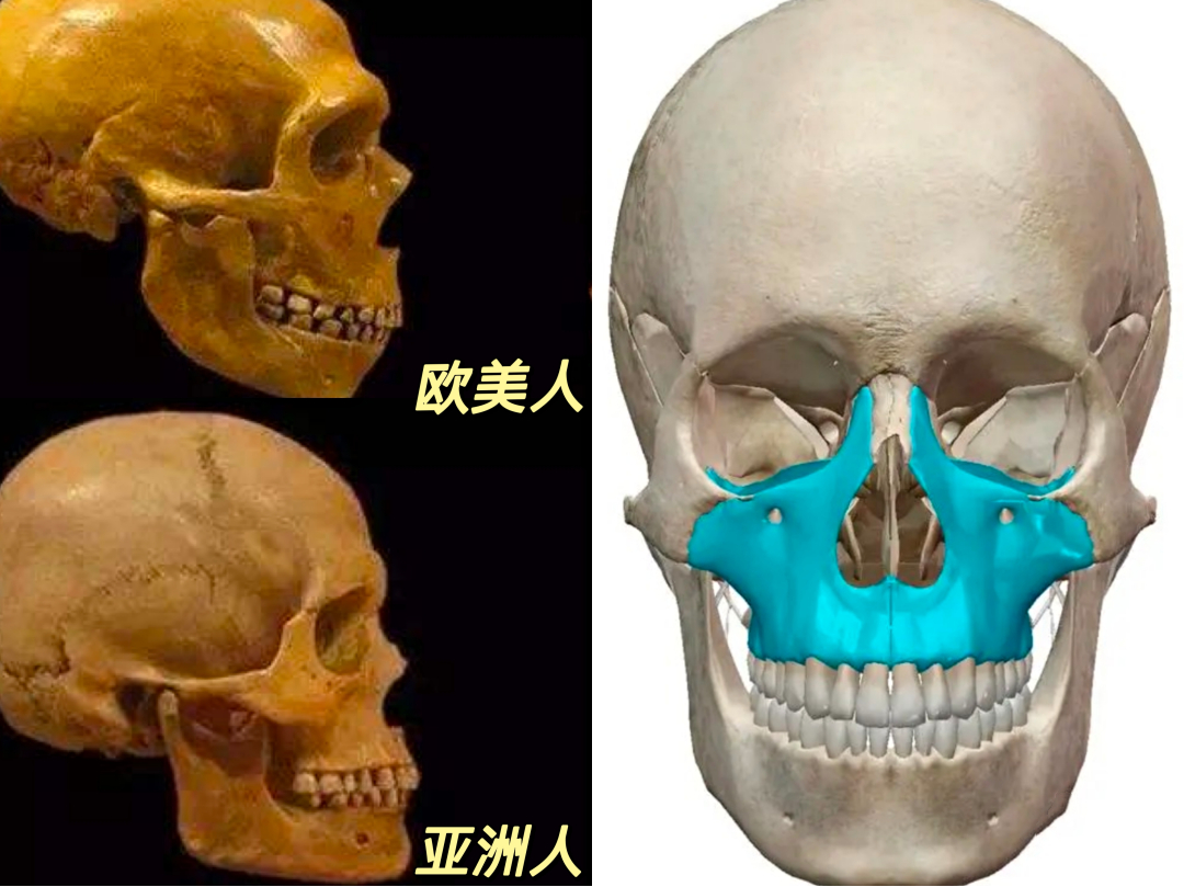 争当“领跑者”聚力上项目