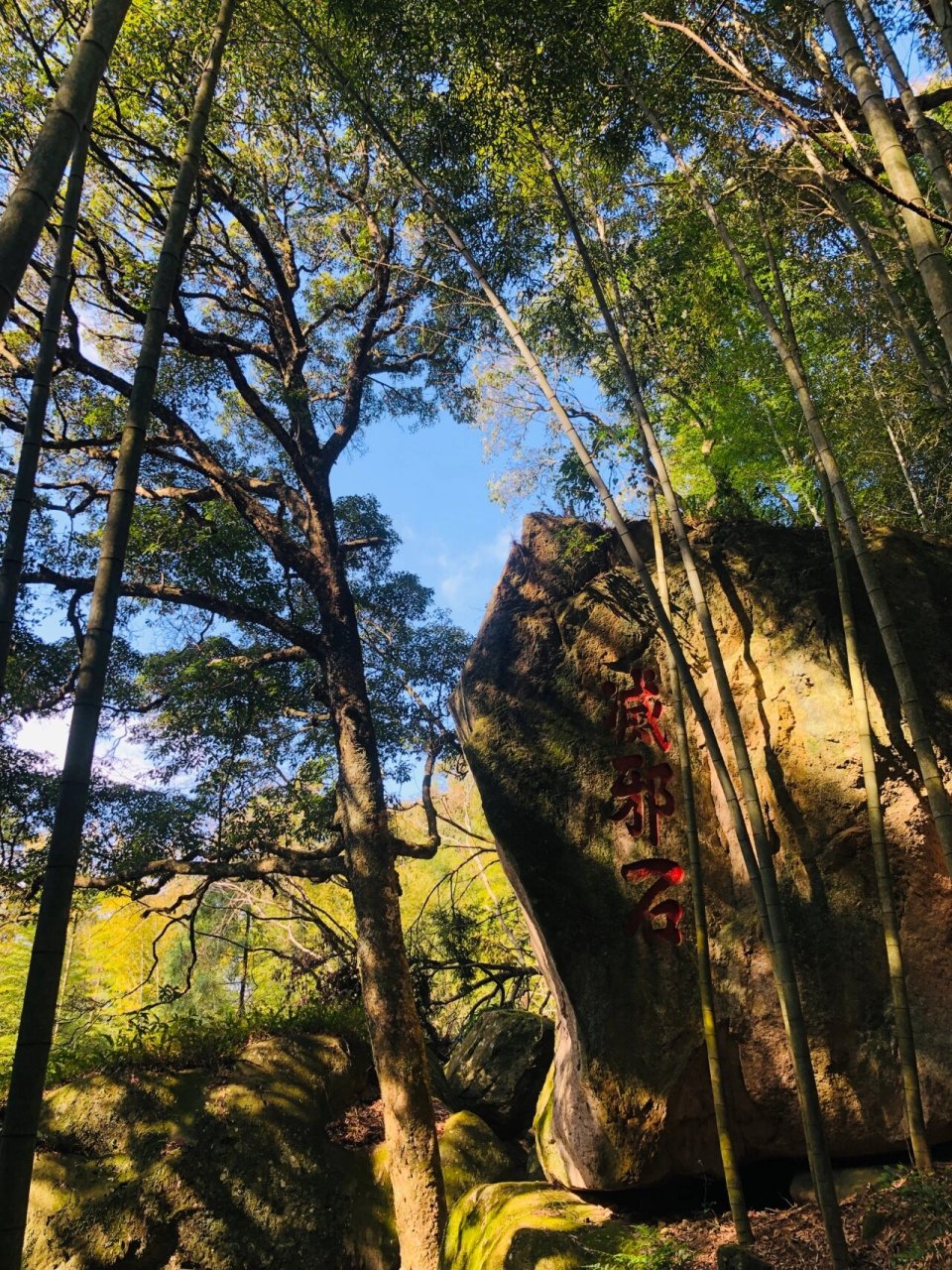 麦斜岩门票图片