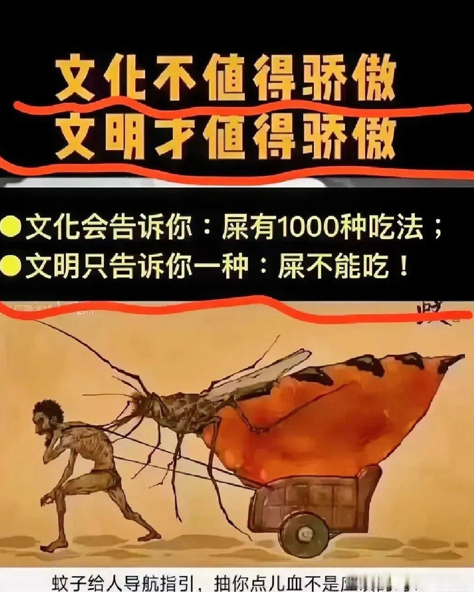 文明的基础是人类感知范围的扩充,文化的意义在于信仰的追求诚实的