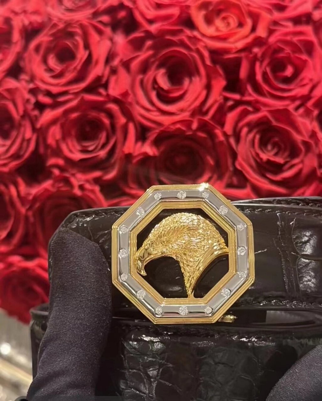 威廉史蒂芬鹰头皮带