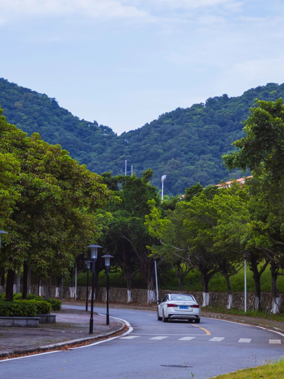 欢迎2024级新生来到距离中山大学70公里的山中大学广州南方学院 文学