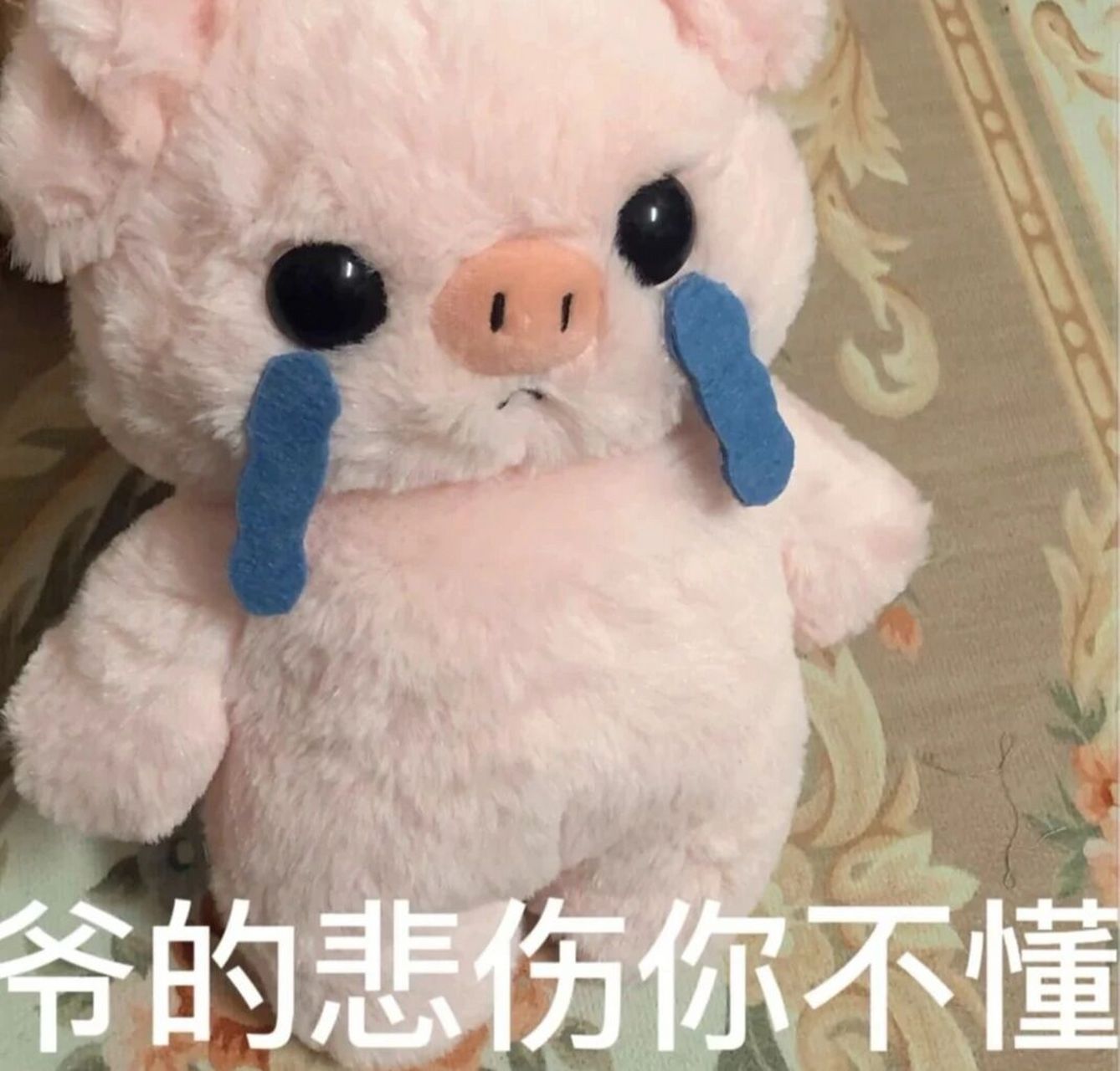 表情包    看见这图就想分享 吵架的时候可以用到 但是希望你们都用不