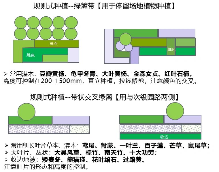 植物搭配—规则式种植|绿篱带