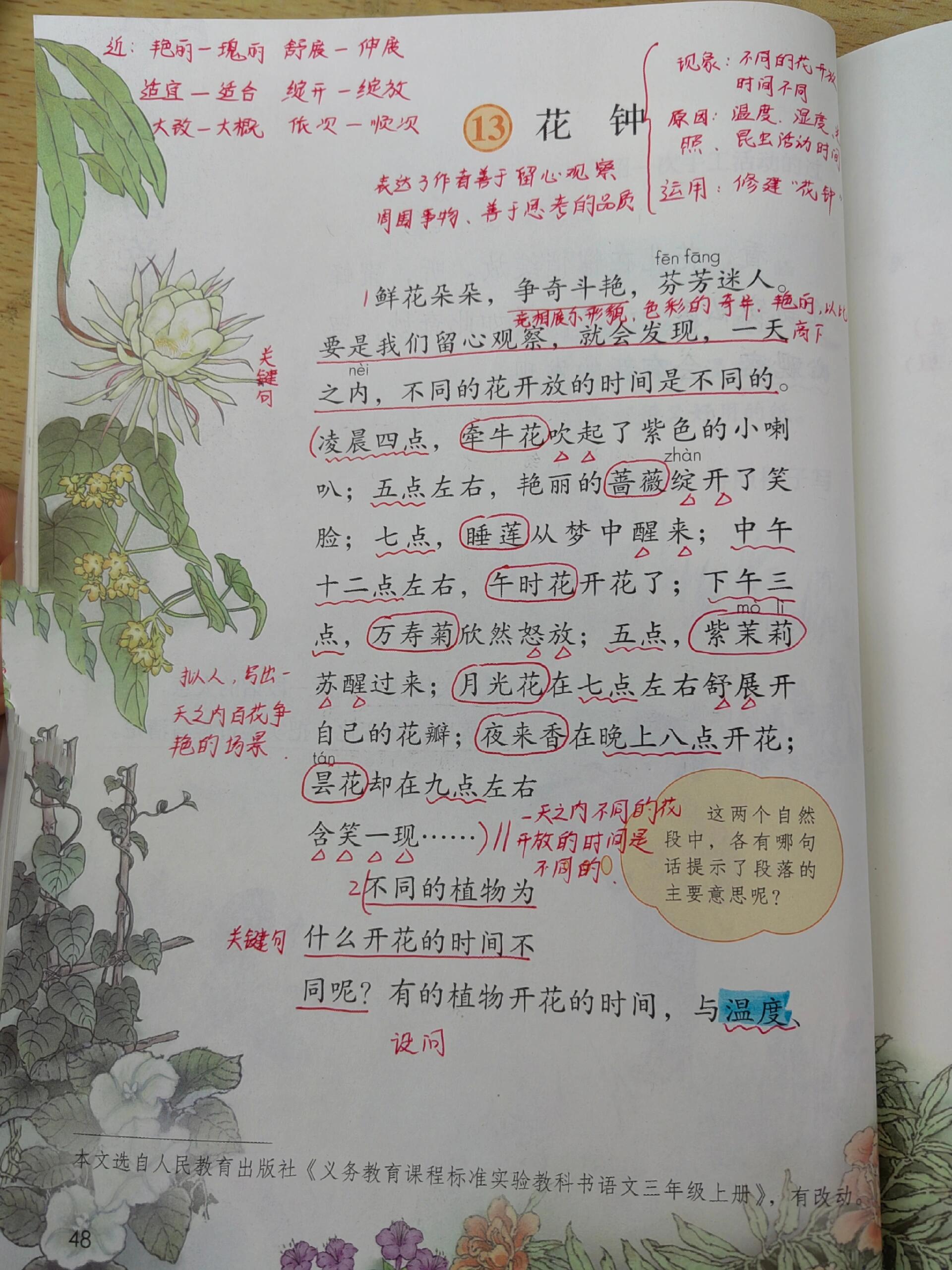 语文三下《花钟》课堂笔记@皓月山川的动态