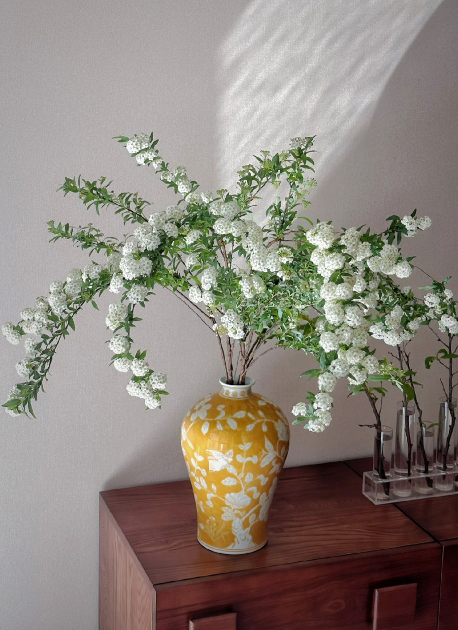 花材分享|手球花(附养护方法) 一束小手球就是一整个春天00 	 养护