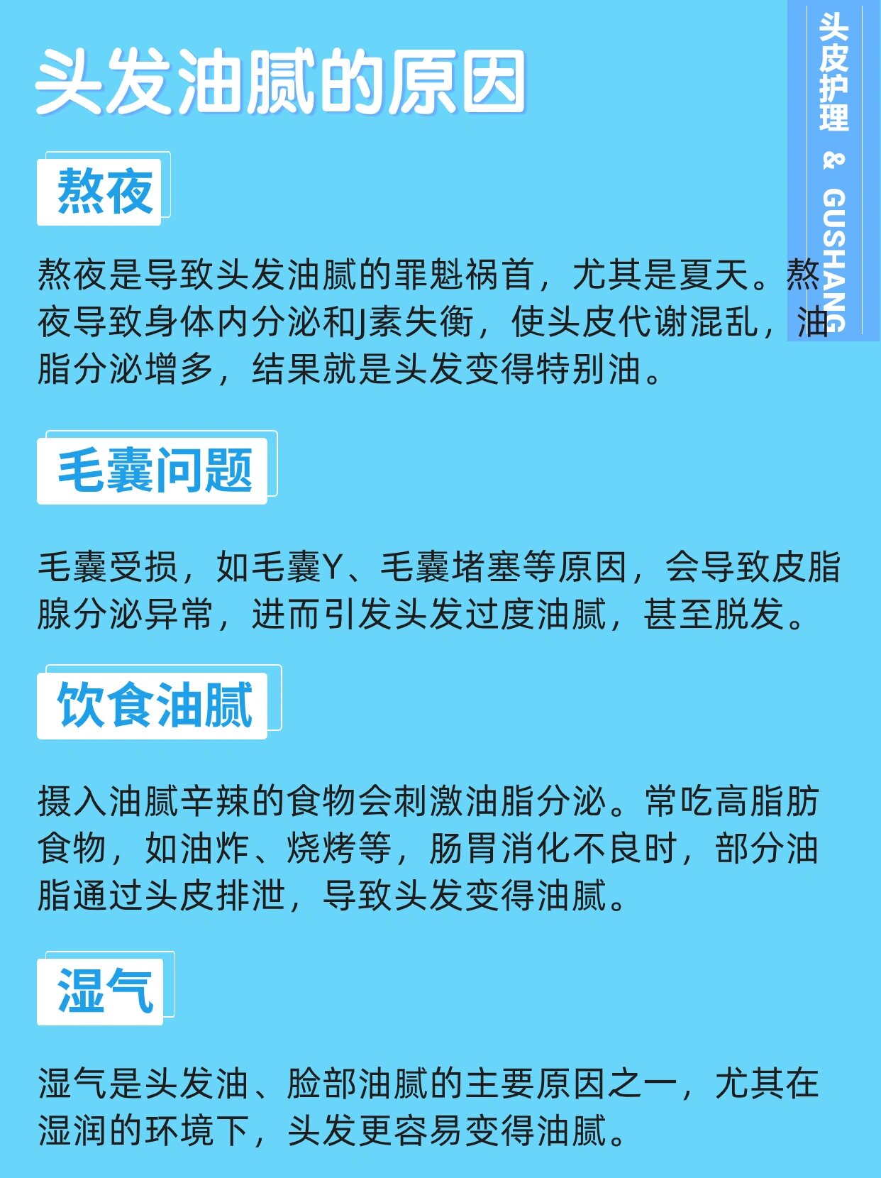 头发出油怎么改善图片