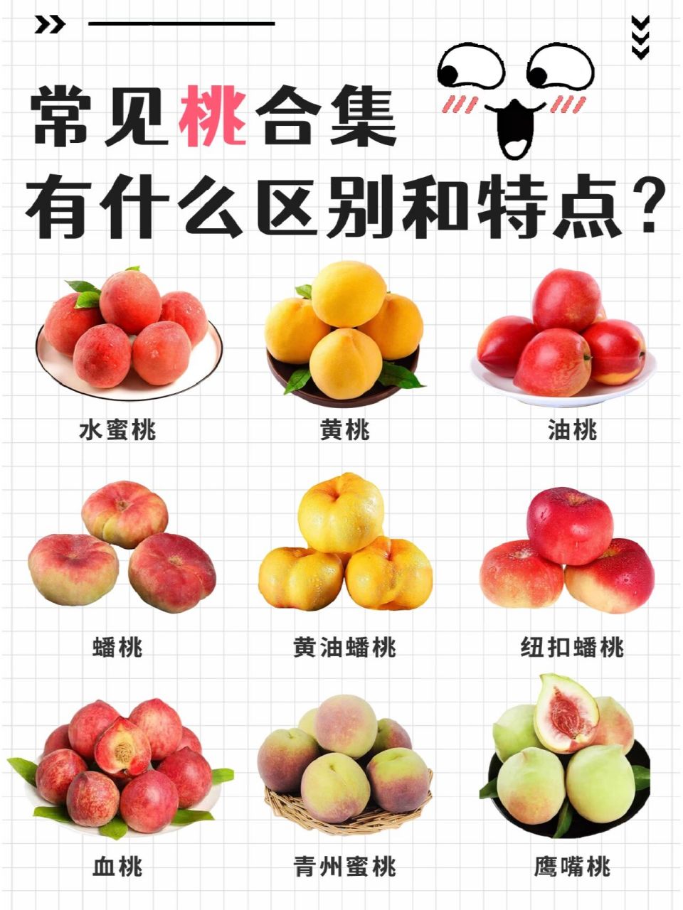 可每次听人说水蜜桃,毛桃,油桃,蟠桃等等等等,局长总是会傻傻分不清楚