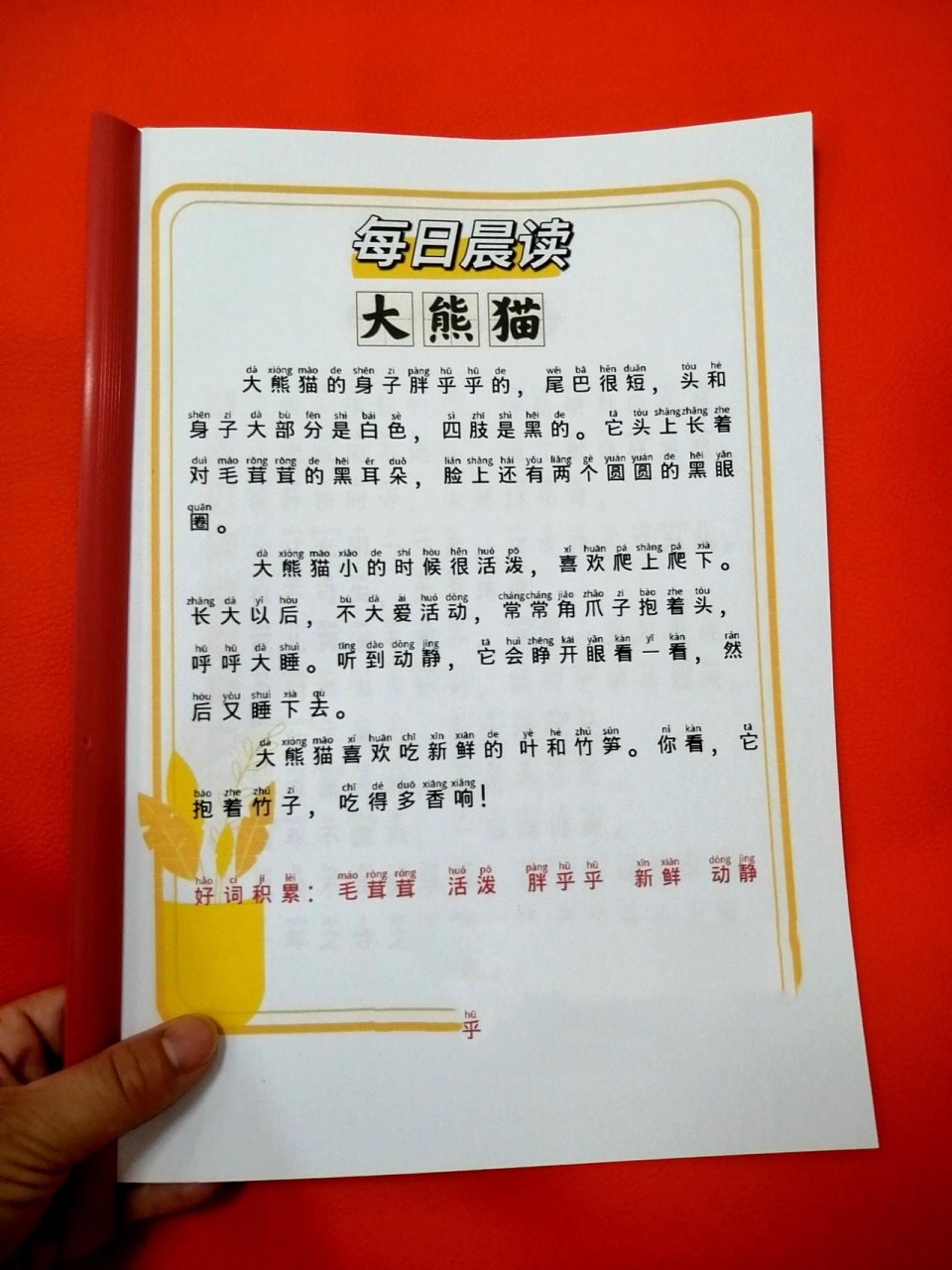 小学生每日晨读《大熊猫》好词好句积累 小学生每日晨读好词好句积累