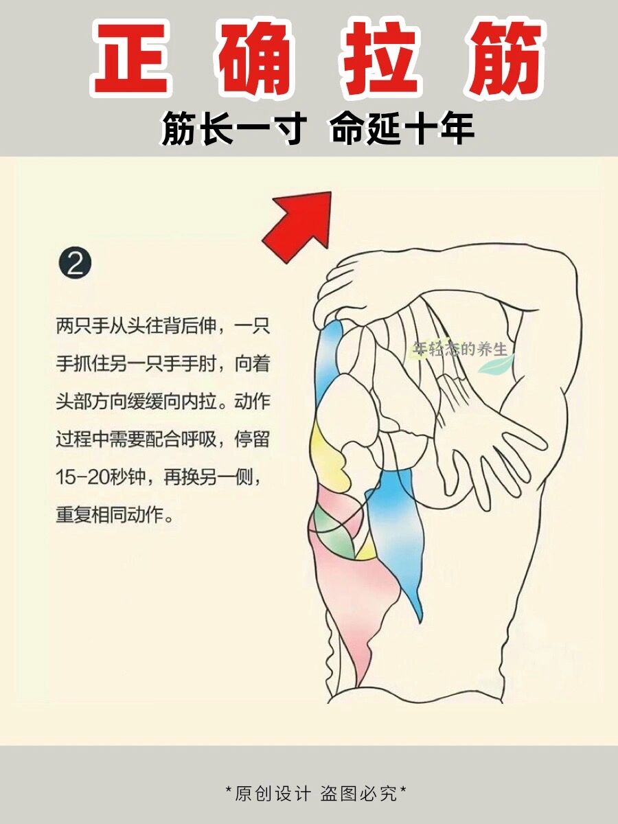 每日养生运动|分享9组正确拉筋方法97 7115俗话说:"筋长一寸,命