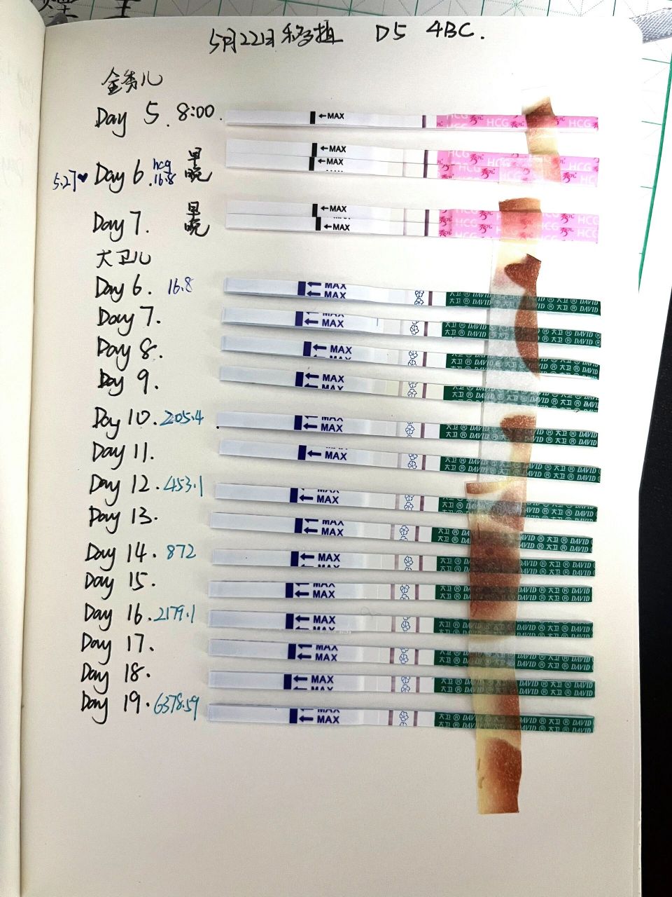 大卫试纸纪录完成73hcg对应试纸颜色 给大家可以参考下移植后天数