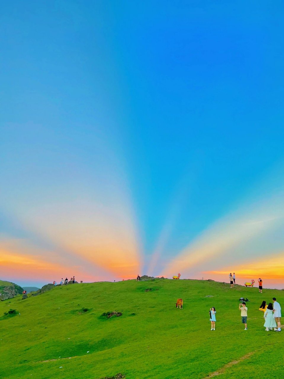 不用去瑞士的草场 在福州也能看到天然大草场 这里的空气都是青草的