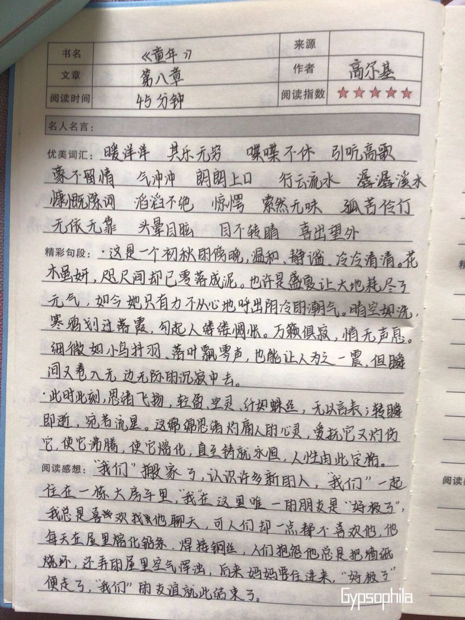 《童年》第八章 最好的朋友是那种不喜欢多说,能与你默默相对而又息息