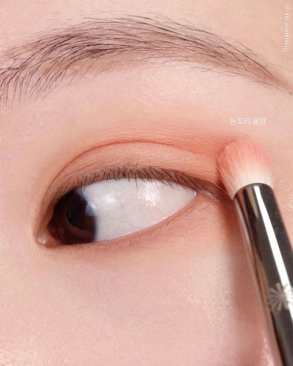 piccasso 219 眼影刷 眼尾眼角卧蚕眼影刷 #妆容教程# #妆容分享