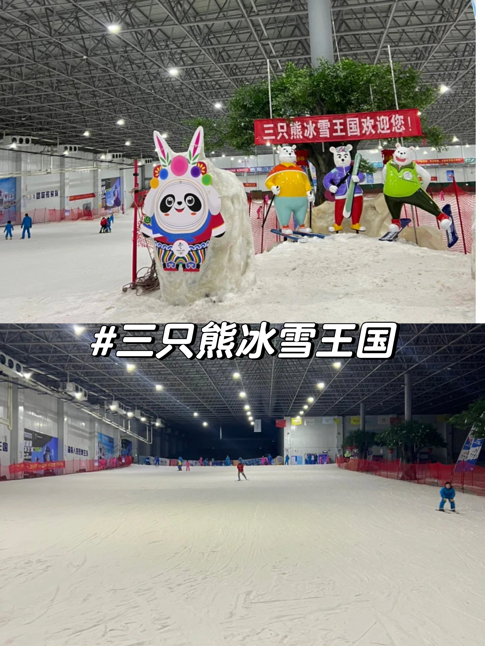 三只熊冰雪王国门票图片