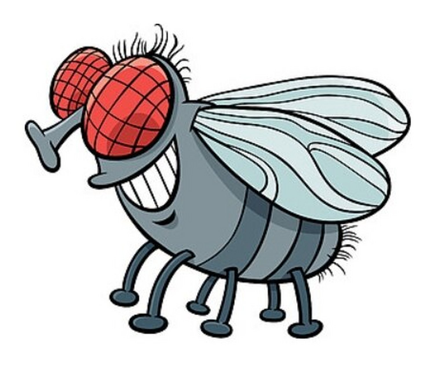 如粪坑,垃圾场等适合苍蝇幼虫生存的