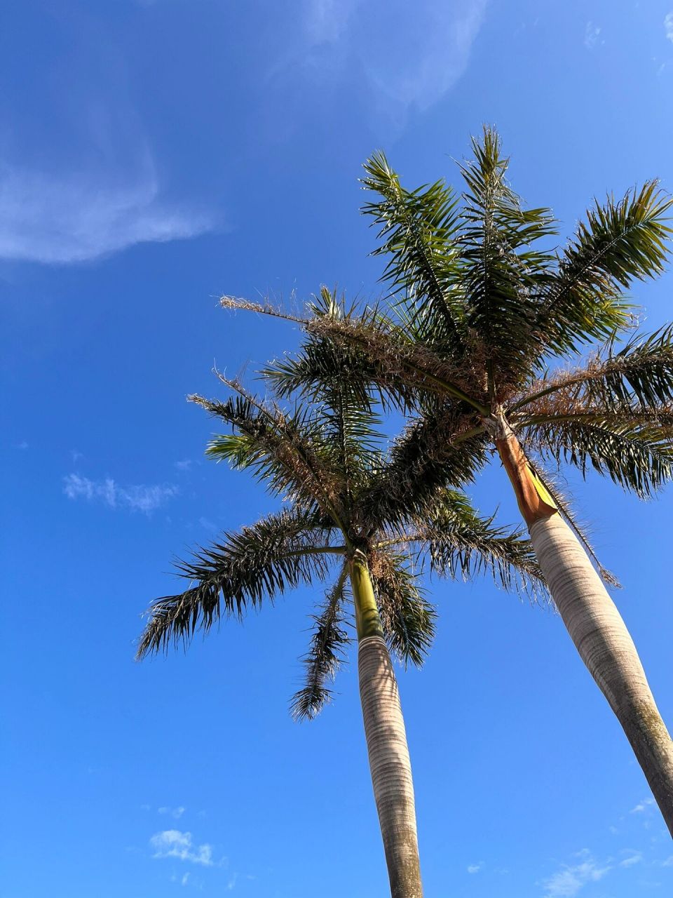 厦门观音山沙滩9215|海边的夏天永不停歇0590 真的可以相信