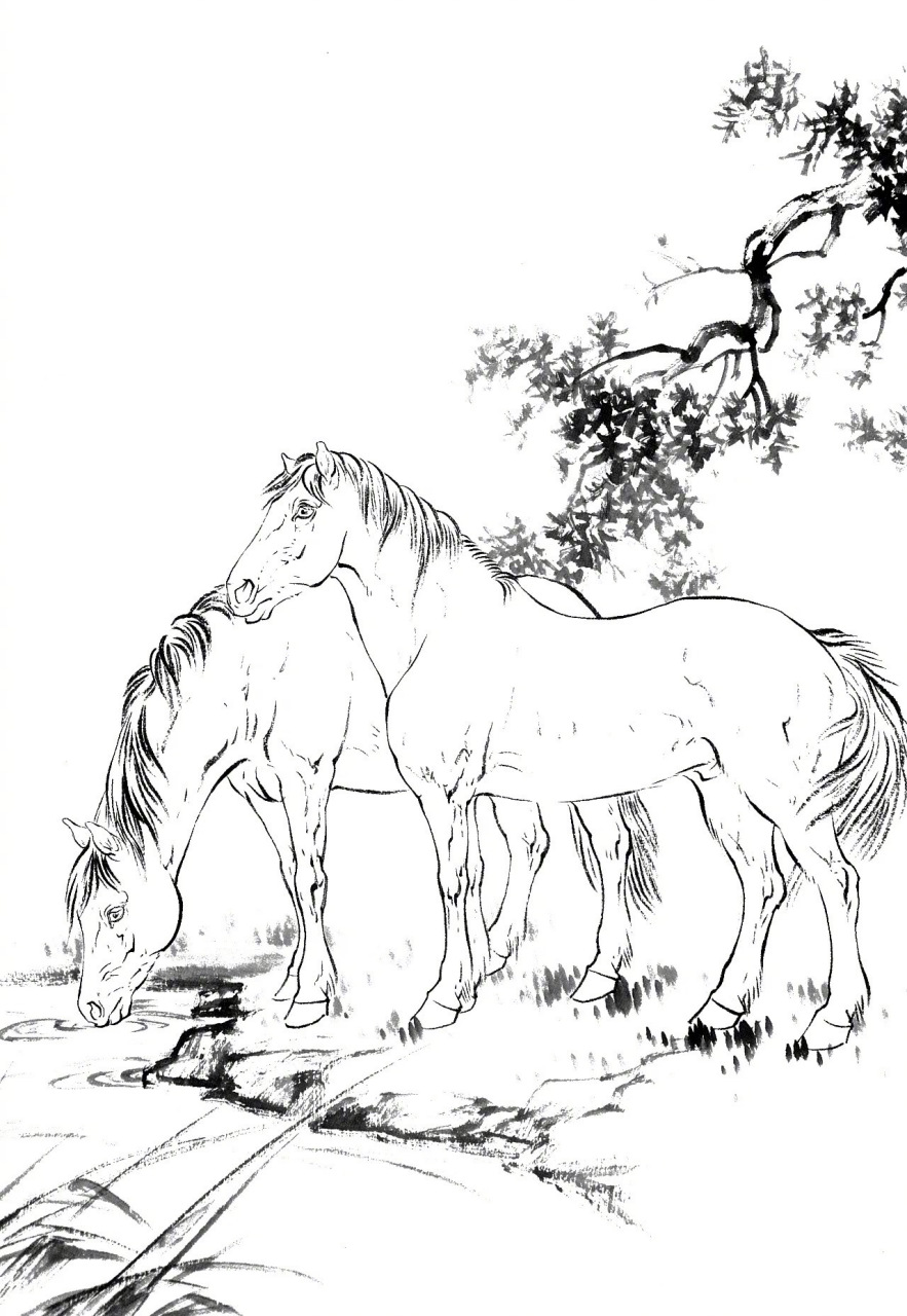 英姿飒爽的工笔白描骏马#书画