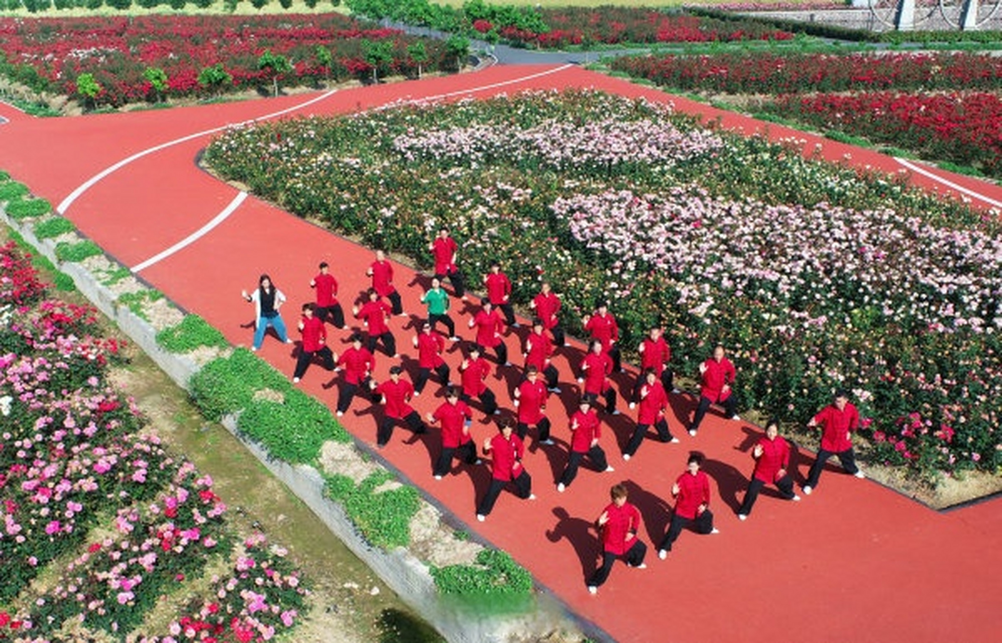 【东阳南马花园村村民花海里健身绘幸福图景】5月6日,太极拳爱好者在