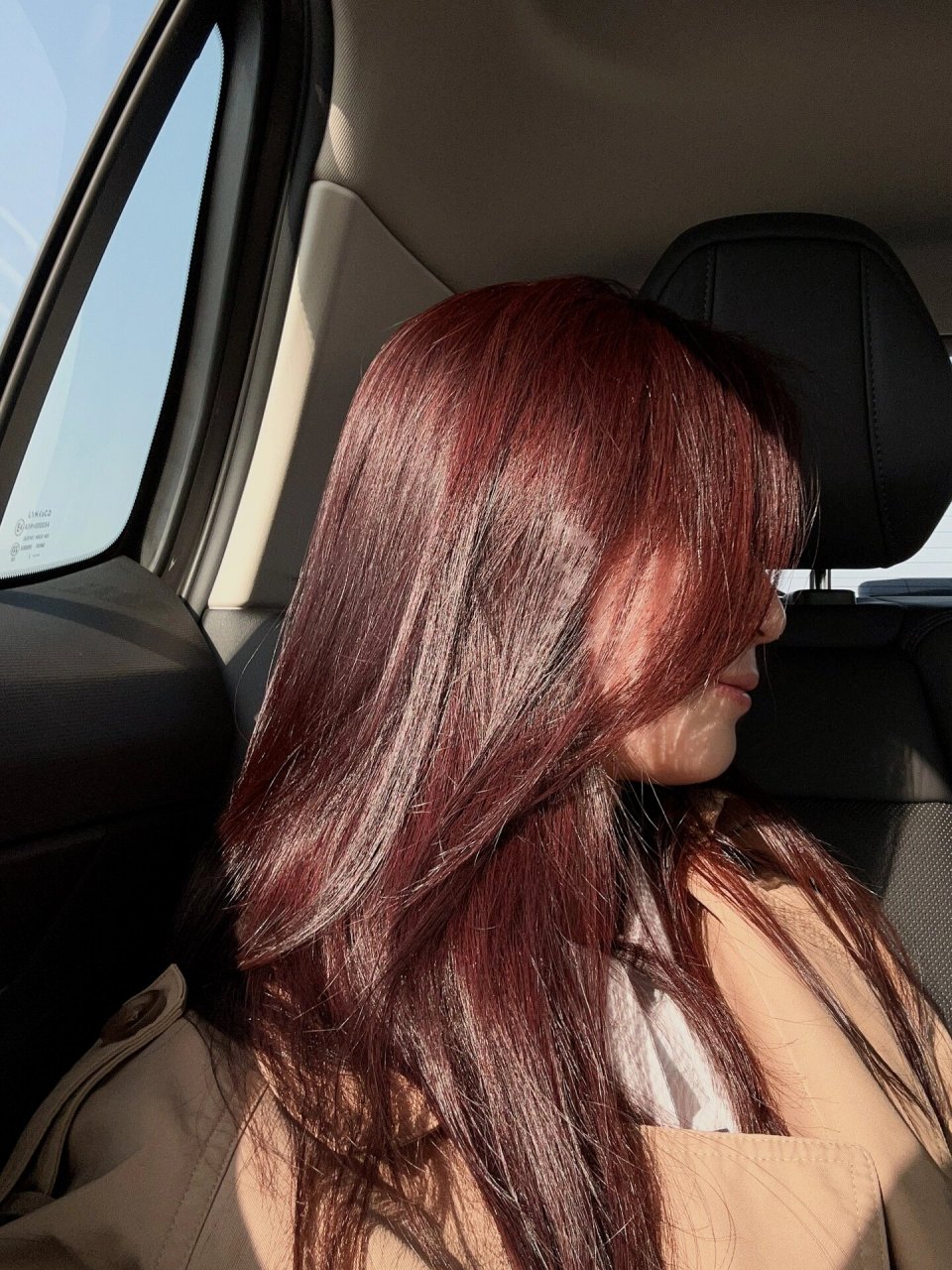 施华蔻染发膏木槿褐棕  图1661526615灿烂阳光7715显色度