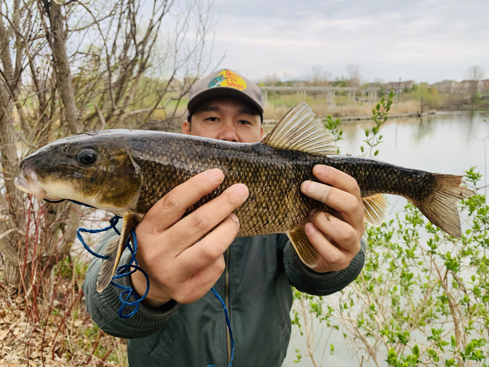 长着一对性感大厚唇的鱼 前年爱德华王子县大湖里西人渔友送我们的鱼