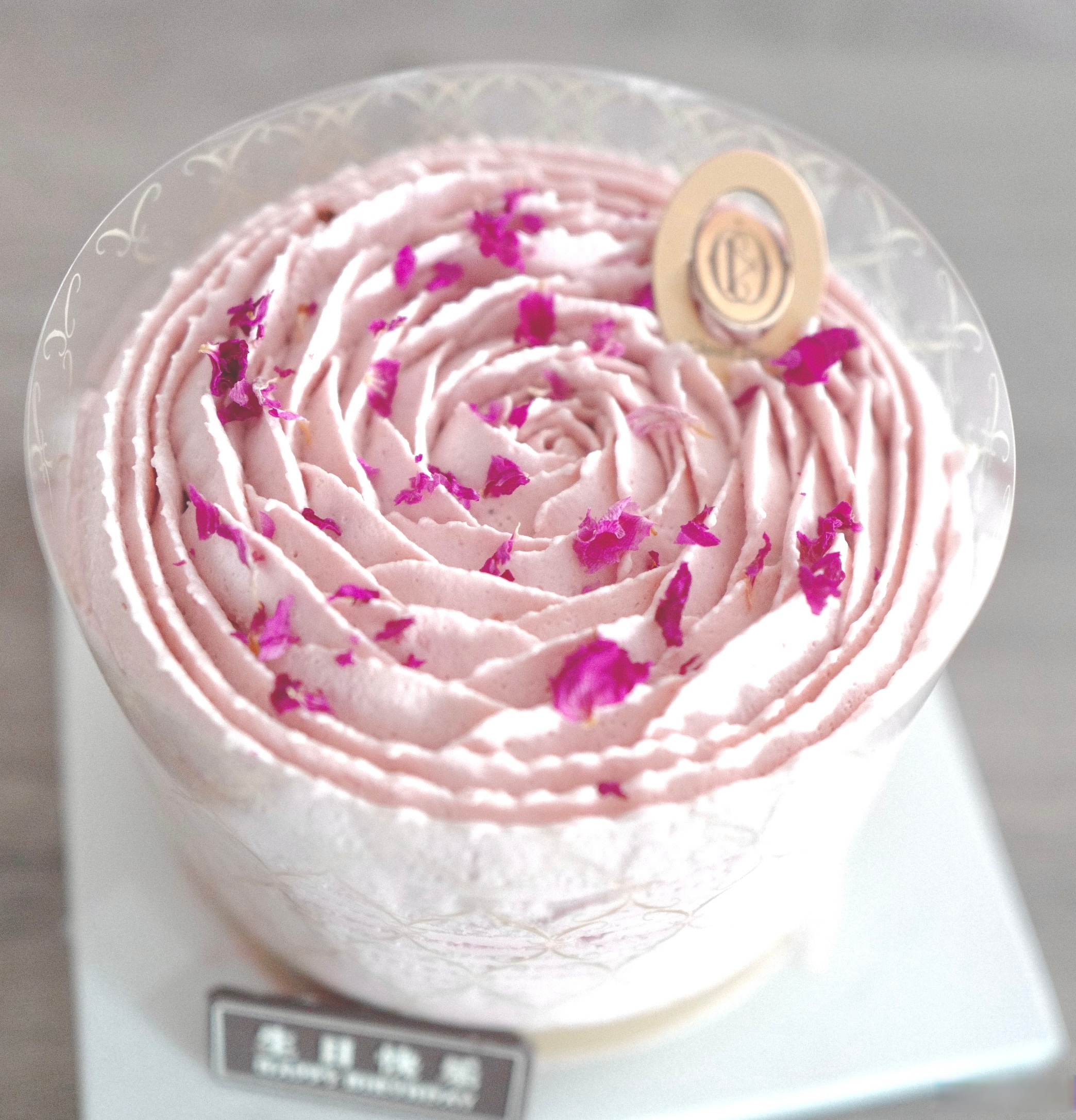 让我们欢歌笑语,奔跑前行